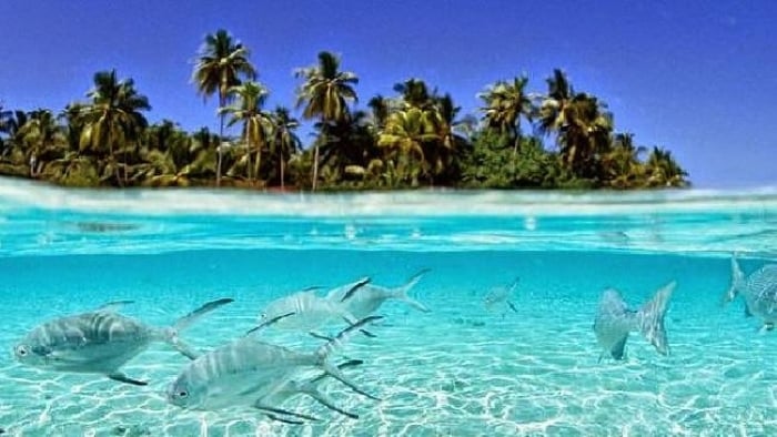 Tuvalu là quốc gia nhỏ thứ 4 thế giới