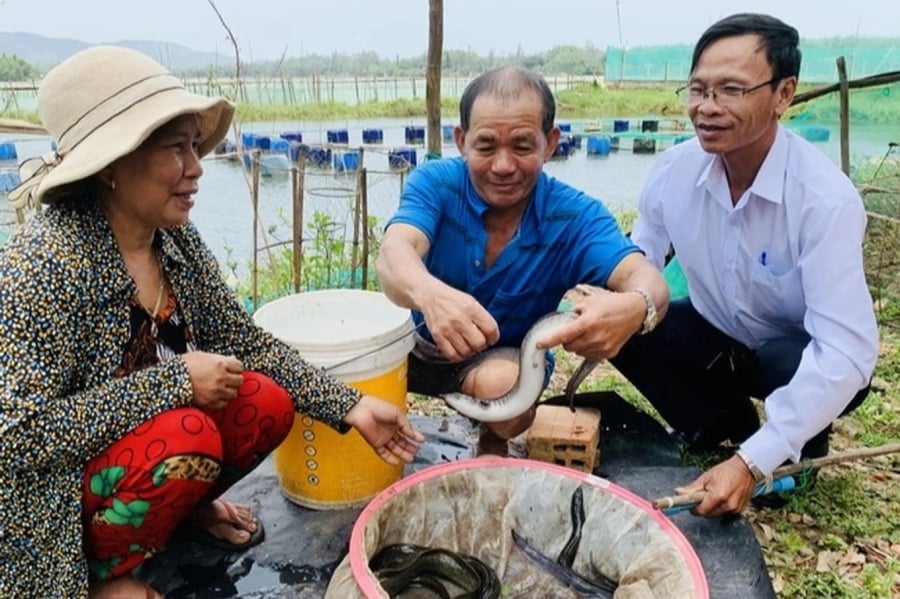 Ông Nguyễn Phưởng, 63 tuổi, đã tích lũy được hơn 15 năm kinh nghiệm trong việc nuôi cá chình bông