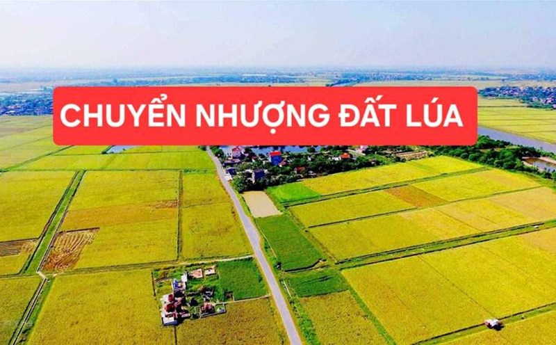 Kể từ 1/8: Luật đất đai mới chính thức có hiệu lực, người dân hưởng thêm quyền lợi gì?