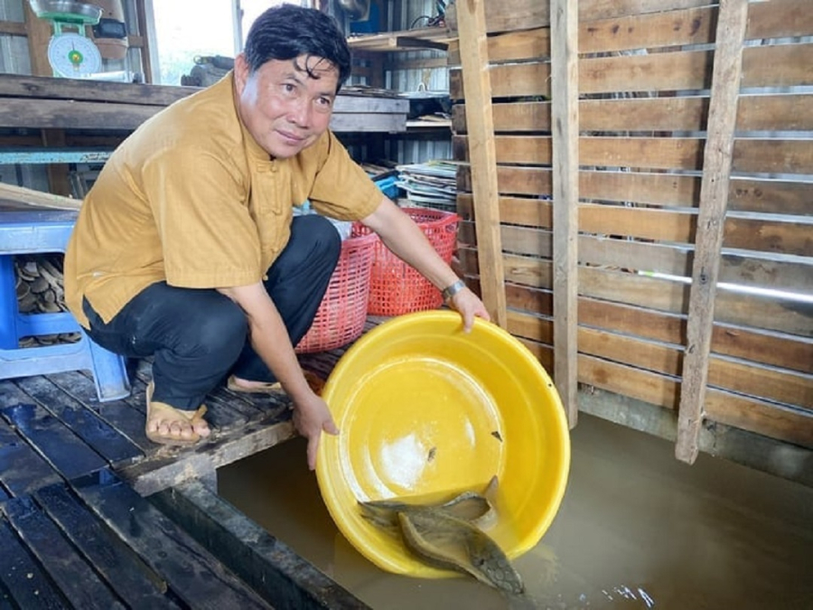 Ông nông dân ‘bỏ ruộng lên bờ’ nuôi con vật ‘hiền như đất’ mê bơi lội, hốt bạc 5 tỷ/năm