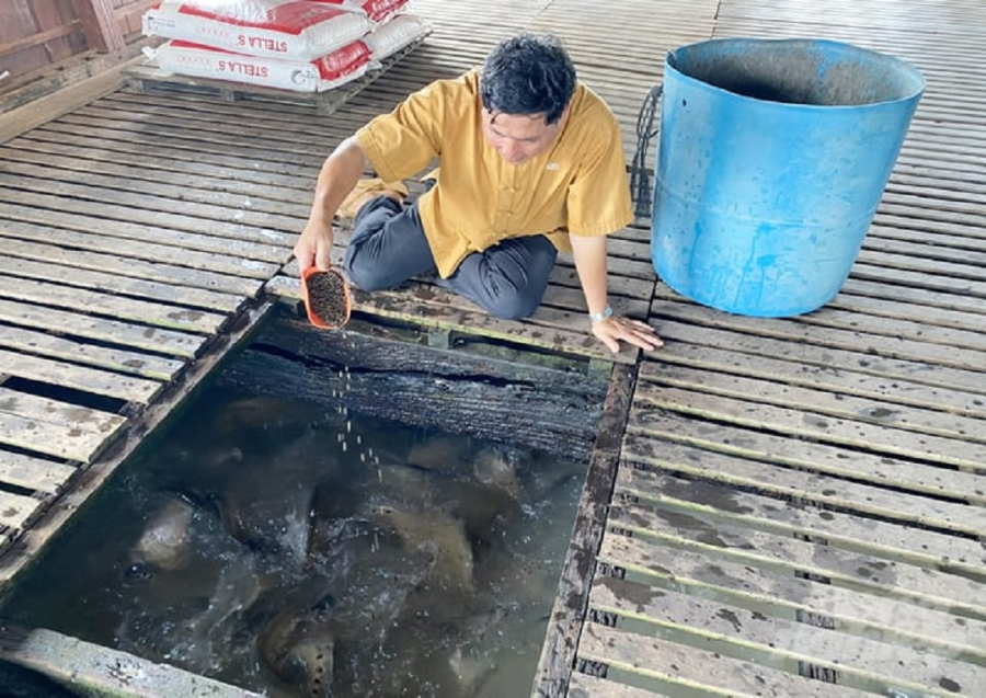 Ông Lý Văn Bon đã chia sẻ kinh nghiệm khởi nghiệp thành công trong lĩnh vực chăn nuôi cá, đặc biệt là cá thát lát cườm