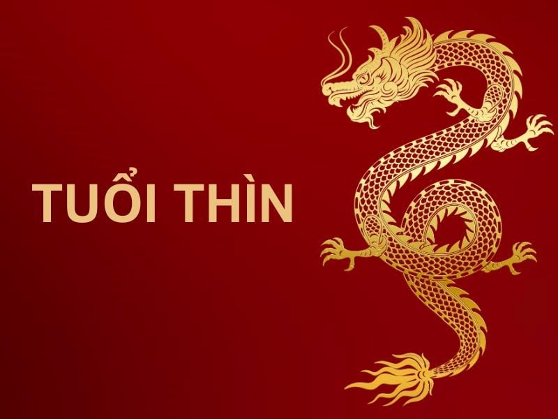 Thìn dễ cải vận và có bước tiến lớn