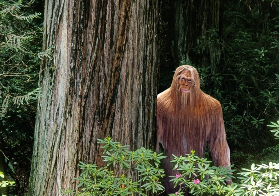 Quái vật Bigfoot vẫn còn là một ẩn số. Ảnh NYP