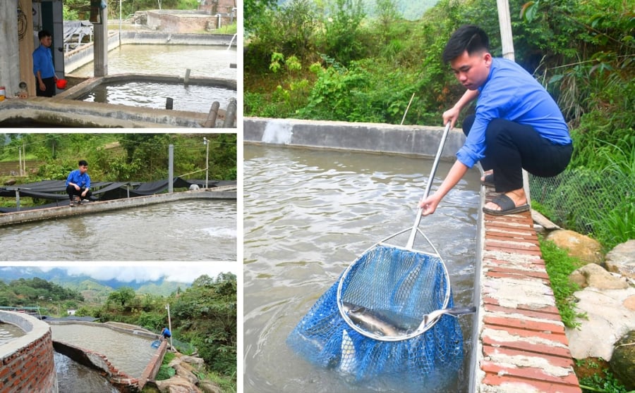 Ngoài việc tạo dựng tài chính cho bản thân và gia đình, anh Tả còn tích cực tham gia các hoạt động xã hội