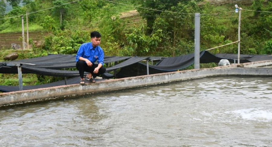 Với khoản vốn bao gồm 200 triệu đồng vay từ ngân hàng và 70 triệu đồng tiết kiệm tích lũy được, anh Lý Láo Tả đã quyết định đầu tư vào mô hình nuôi cá nước lạnh