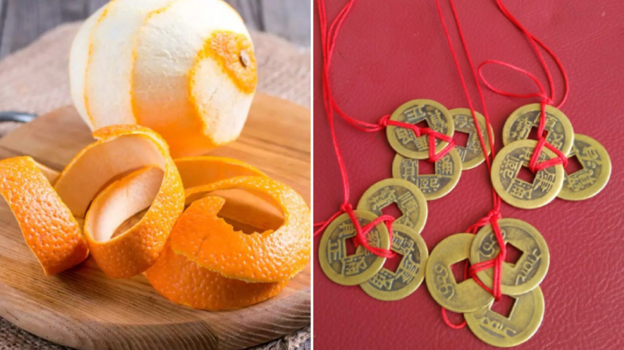 Coins and orange peels in a bowl