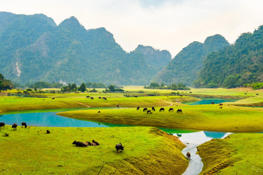 Thảo Nguyên có núi đồi, dòng sông uốn lượn cùng những bãi cỏ xanh mát