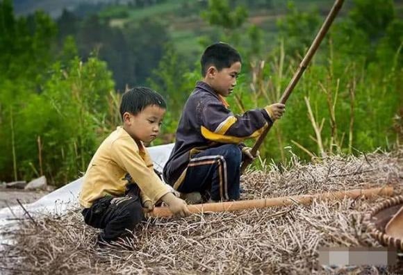 Nghĩa đen của nửa đầu câu tục ngữ này là các gia đình giàu có, quyền lực nên sinh ít con trai.