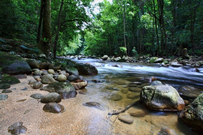 Vườn quṓc gia Chư Yang Sin