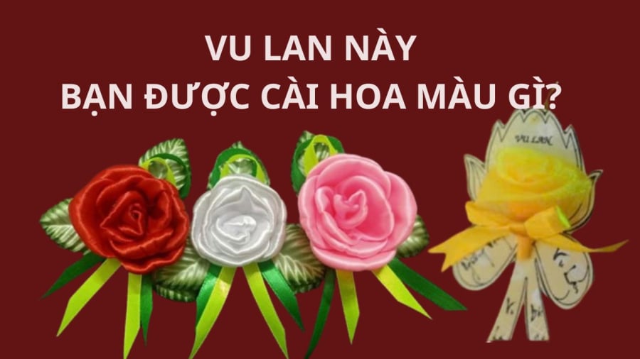 Mỗi màu hoa hồng mang một ý nghĩa khác nhau