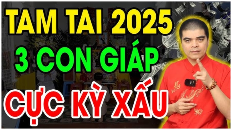 Những con giáp dính Tam Tai năm 2025