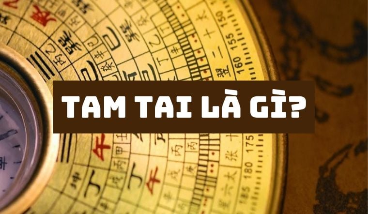 Con giáp dính Tam Tai năm 2025