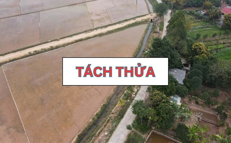 Diện tích tối thiểu bao nhiêu thì có thể tách thửa