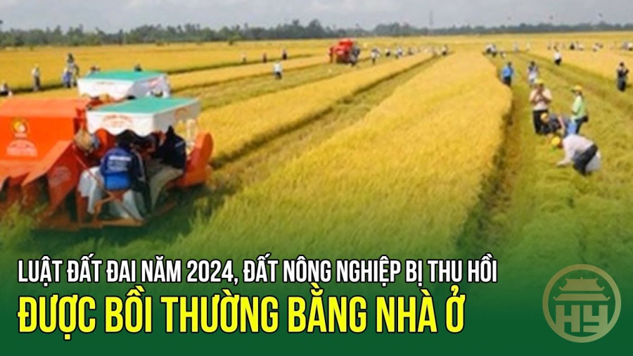 dat-nong-nghiep-boi-thuong-bang-nha-o-1