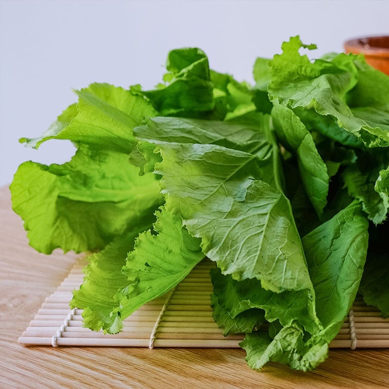 Green Cabbage