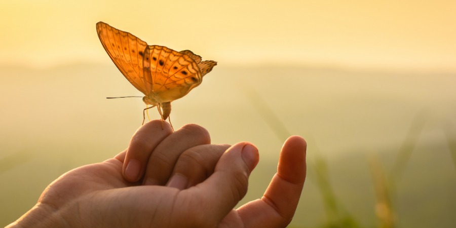 Đã làm người thì dù cao sang hay bần hèn, không ai có thể sống mãi.