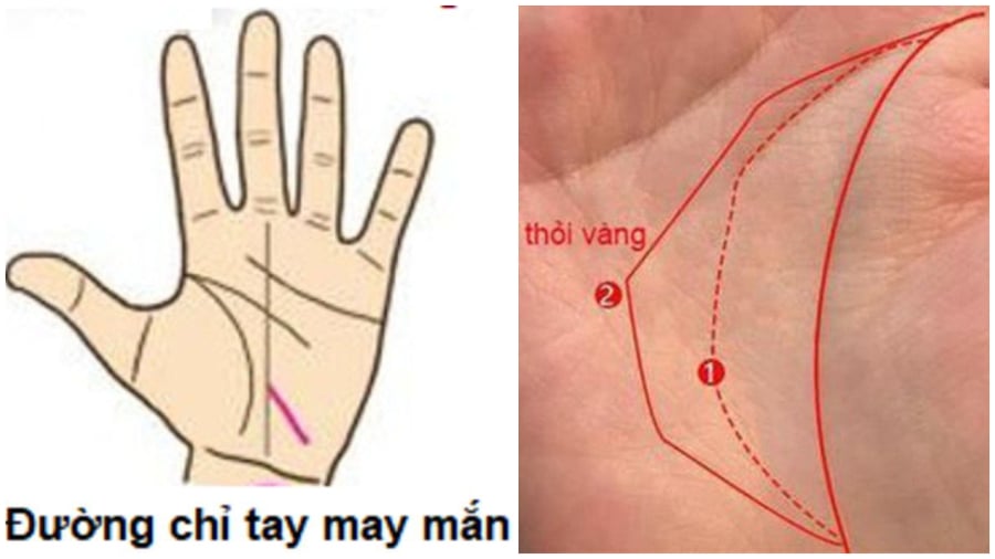 Tướng bàn tay may mắn