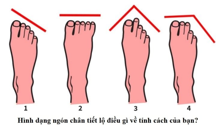 Một dạng phổ biến của bàn chân trong nhân tướng học là bàn chân có ba ngón đầu tiên có độ dài gần như bằng nhau.