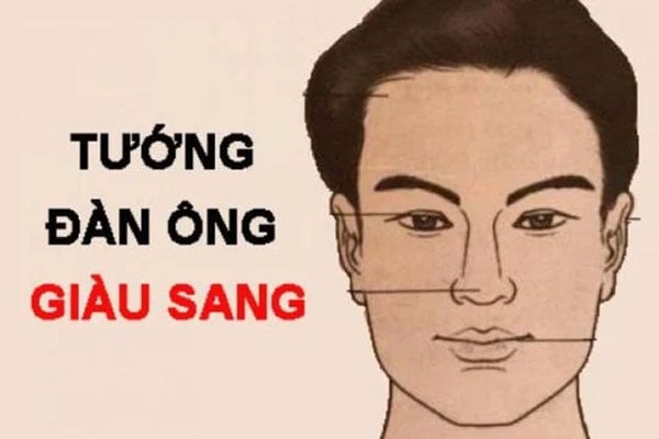 Đàn ông sống mũi thẳng thường thông minh giàu có