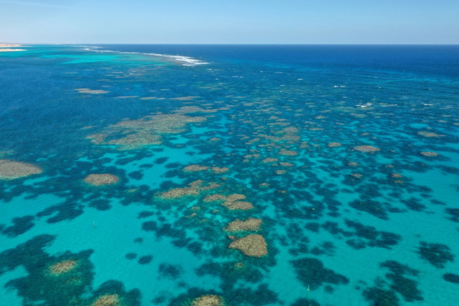 Bờ biển Ningaloo có rặng san hồ dài 260km, được đánh giá là đẹp nhất thế giới