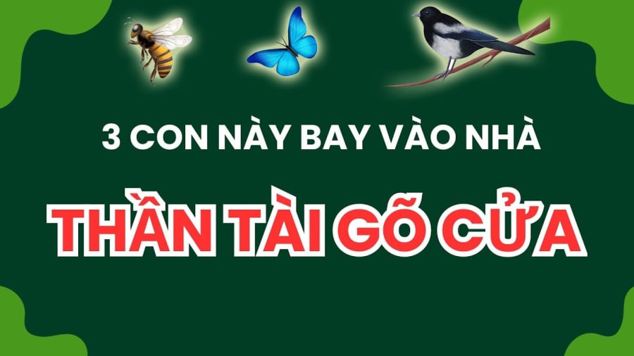 Những loài vật tượng trưng cho thần tài mang may mắn tới