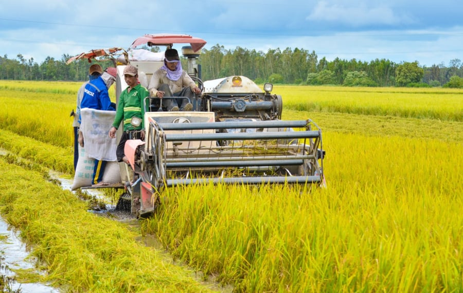 Trường hợp nào được xây nhà trên đất nông nghiệp