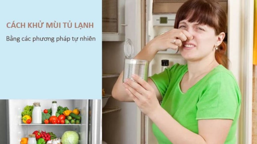 Khử mùi hȏi tủ ʟạnh bằng nguyên ʟiệu có sẵn