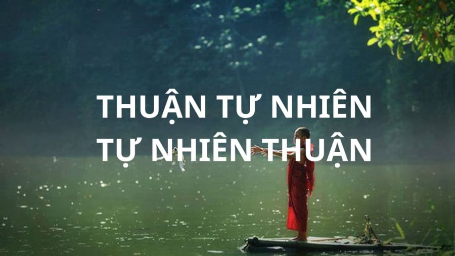 Thuận theo tự nhiên lòng nhiều thanh thản