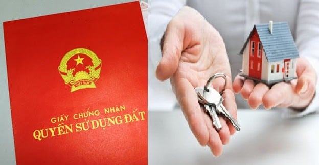 Theo quy định pháp luật hiện hành, con dâu và con rể không nằm trong hàng thừa kế theo pháp luật