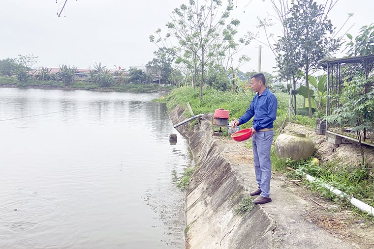 Nuôi loài quen thuộc theo cách ‘chẳng giống ai’, anh nông dân thu về 1 tỷ đồng/năm