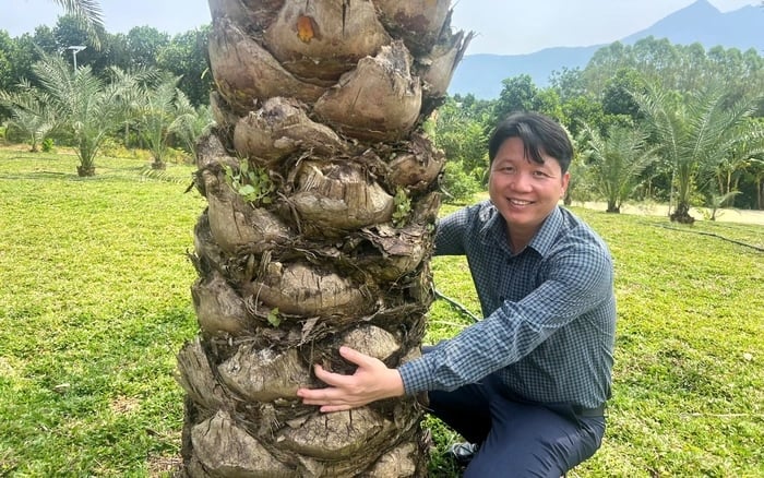 Nhìn về tương lai, anh Cường cho biết mình đang trong quá trình lên kế hoạch đầu tư phát triển trang trại theo mô hình nông nghiệp kết hợp du lịch trải nghiệm sinh thái