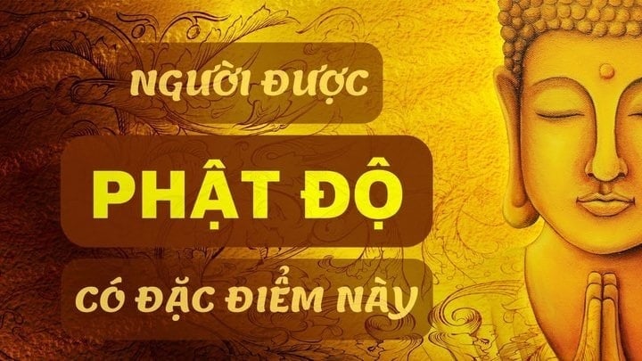 Muốn có may mắn, trời xanh thương thì hãy cứ sống lương thiện, có đạo đức trước đã.

