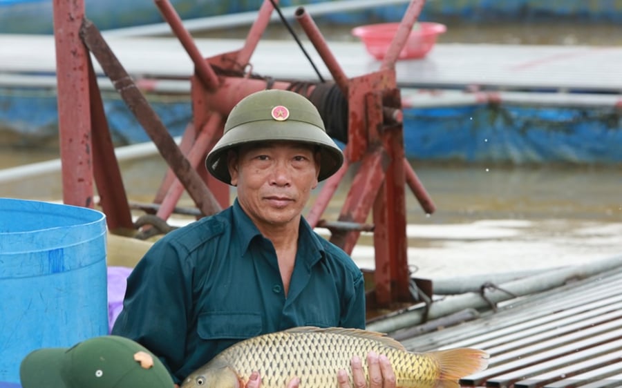 Ông Vũ Văn Chiến đã nhấn mạnh rằng mô hình nuôi cá lồng ở vùng này đã chứng minh được hiệu quả rõ rệt