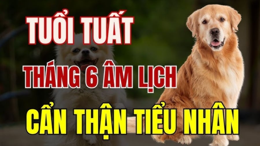 Tuổi Tuất sinh vào tháng 6 dễ gặp nạn tiểu nhân