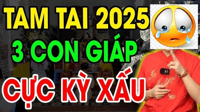 Năm Ất Tỵ 2025, các tuổi Hợi - Mão - Mùi sẽ bước vào năm đầu tiên của hạn Tam Tai

