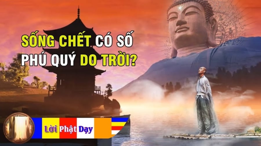 Lời Phật dạy: Sống chết có số