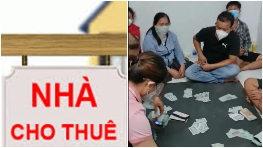 Người thuê nhà vi phạm pháp luật chủ nhà có bị liên đới