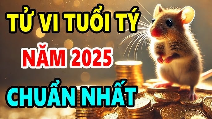 Tử vi tuổi Tý 2025