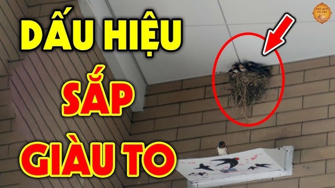 Nhà nào có dấu hiệu này sẽ may mắn