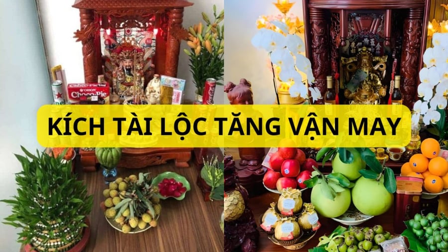 Cây cảnh mang lại không khí trong lành cho ban Thần tài