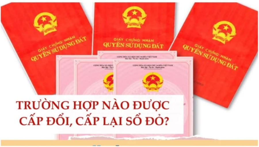 Ai cần đi đổi lại Giấy chứng nhận quyền sử dụng đất trước 1/1/2025?