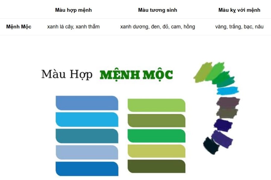 Những màu sắc mà người mệnh Mộc nên chọn