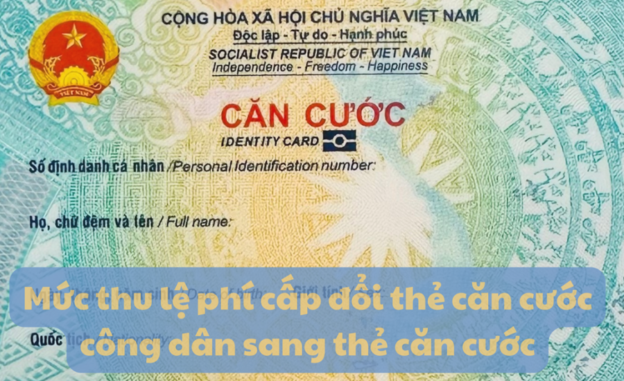 can-cuoc-0843.png