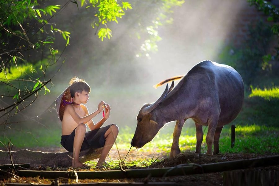 Tuổi Sửu lấy việc giúp đỡ người khác làm niềm vui, họ sẵn sàng giúp đỡ người khác và ngược lại, người tuổi Sửu cũng thường xuyên gặp được những người tốt sẵn sàng giúp đỡ mình.    