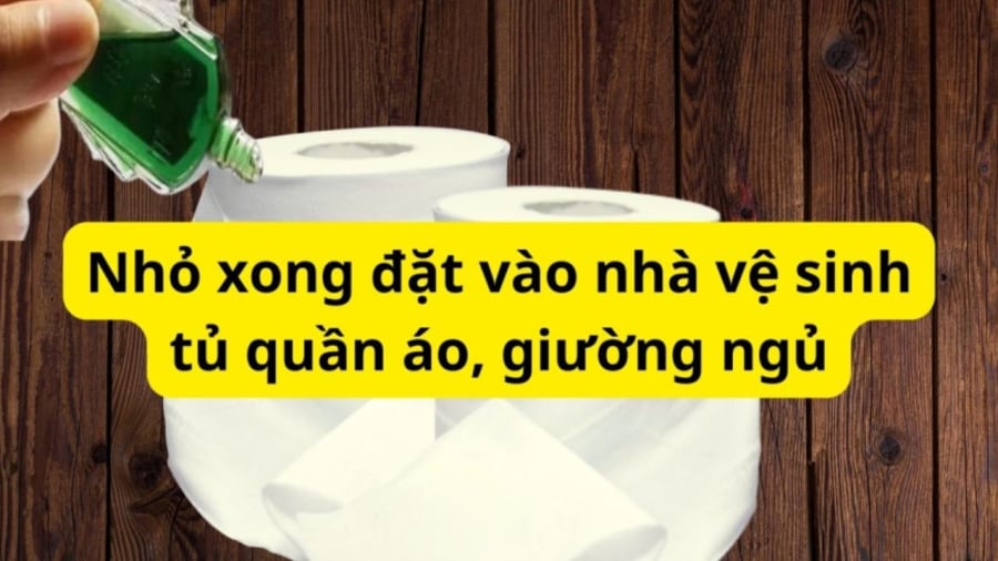 Nhỏ dầu gió vào cuộn giấy nhiều công dụng