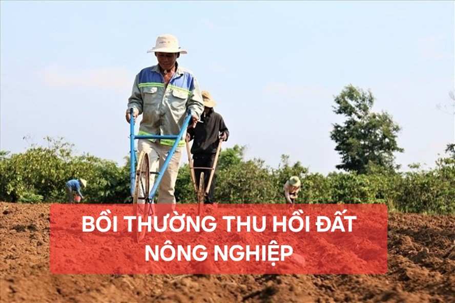 Dat-Nong-Nghiep