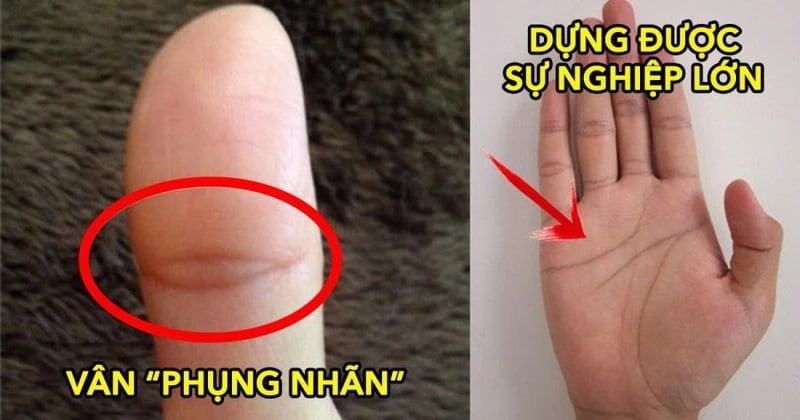 Bất kể nam hay nữ: Có 1/3 điểm này trên tay thì chẳng lo nghèo, Tiền- Tài chẳng thiếu