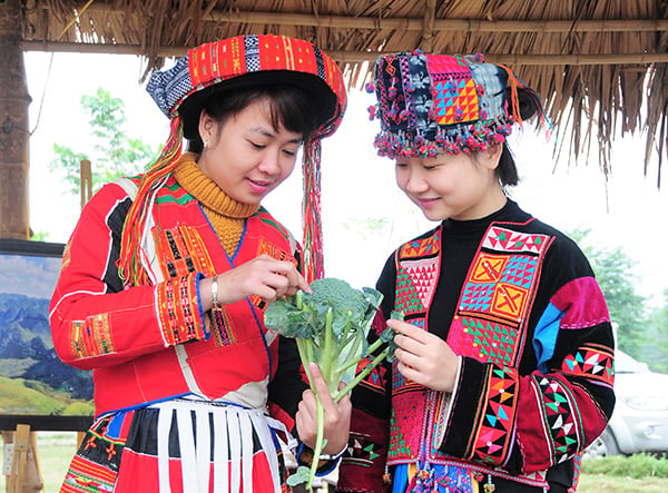 Người Lô Lô tin rằng vào đêm giao thừa, nếu ai đó mang về cho gia đình mình một chút gì đó thì năm mới sẽ mang đến nhiều điều tốt đẹp và công việc thuận lợi