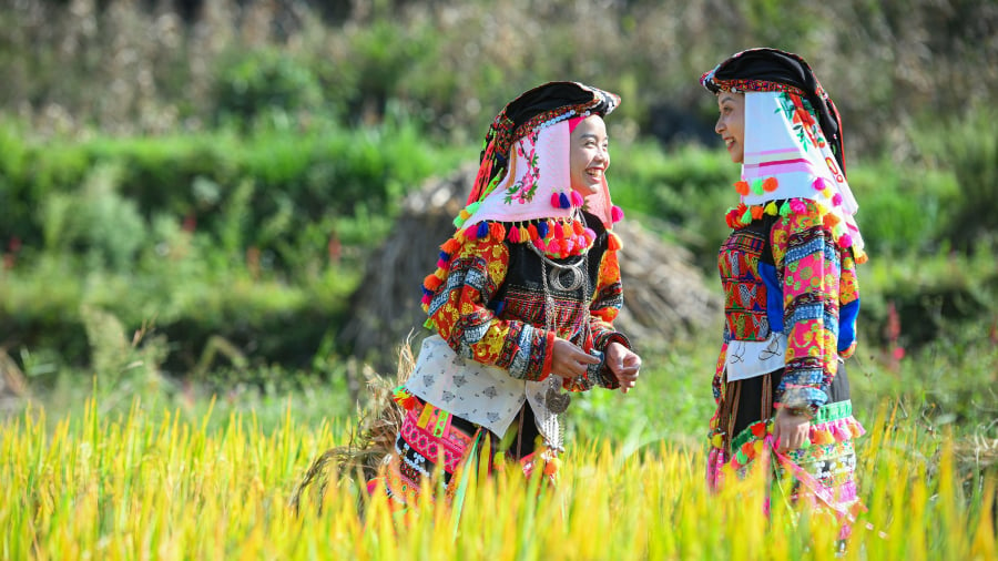 Chiều tối ngày cuối cùng của năm, theo truyền thống, người Lô Lô thường tổ chức bữa cơm sum họp với đầy đủ các thành viên trong gia đình