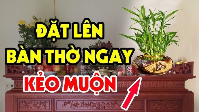 5 loại cây nghe tên đã thấy giàu, đặt lên bàn thờ lộc về tới tấp